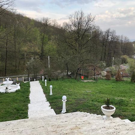 Pensiunea Medeea Hotel Pestis Екстериор снимка