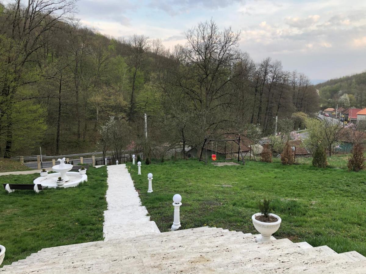 Pensiunea Medeea Hotel Pestis Екстериор снимка