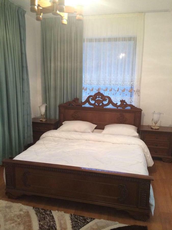 Pensiunea Medeea Hotel Pestis Екстериор снимка