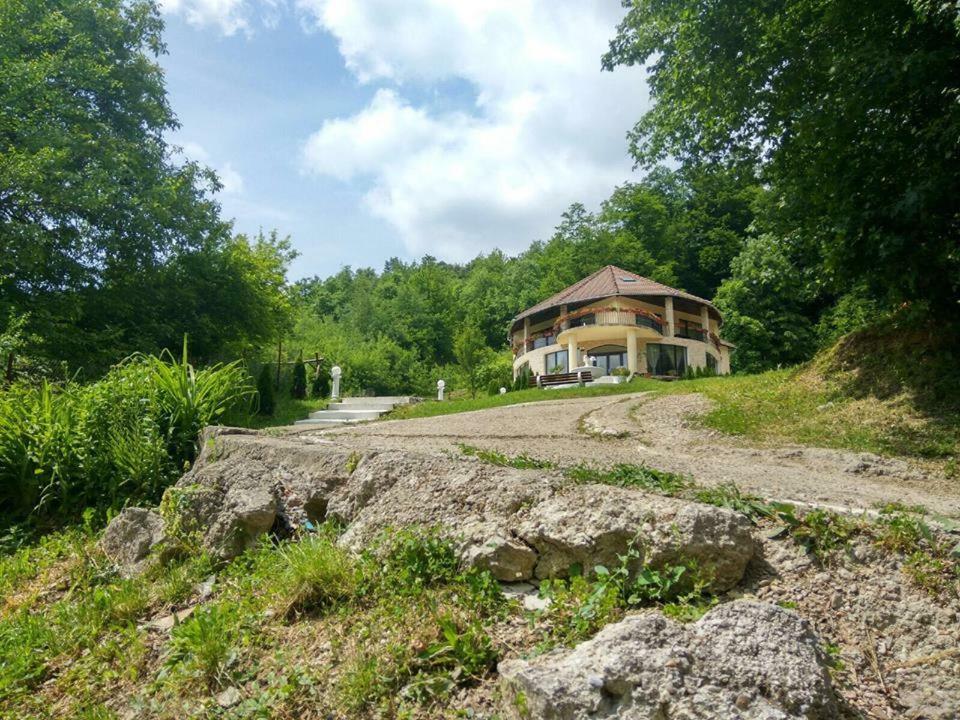 Pensiunea Medeea Hotel Pestis Екстериор снимка