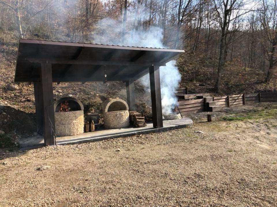 Pensiunea Medeea Hotel Pestis Екстериор снимка